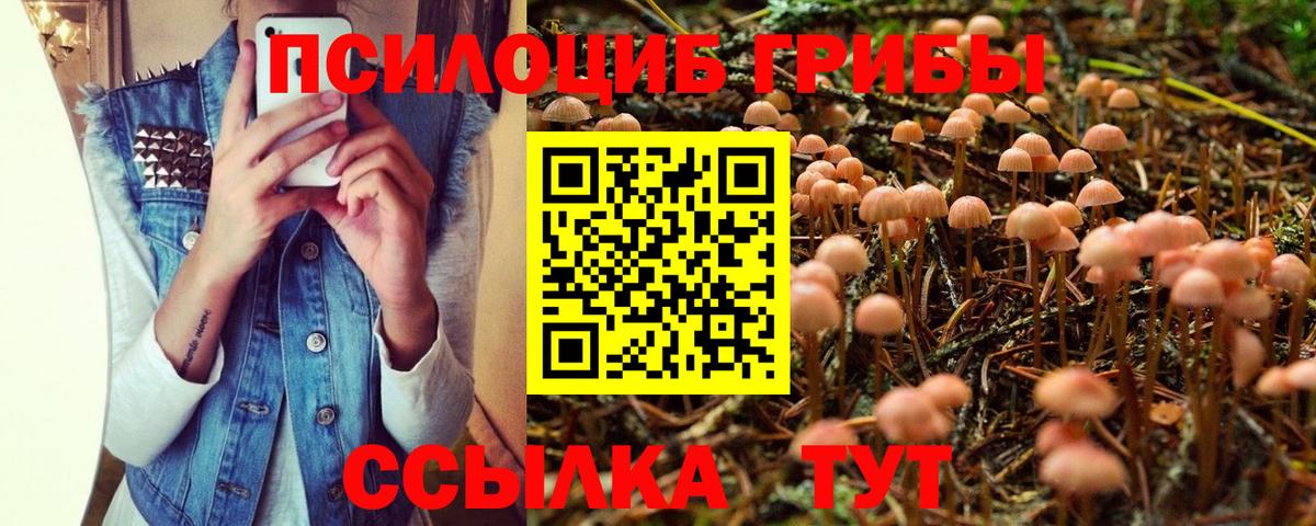 Галлюциногенные грибы мицелий  Вход с VPN  Галлюциногенные грибы ЛСД  Ульяновск 