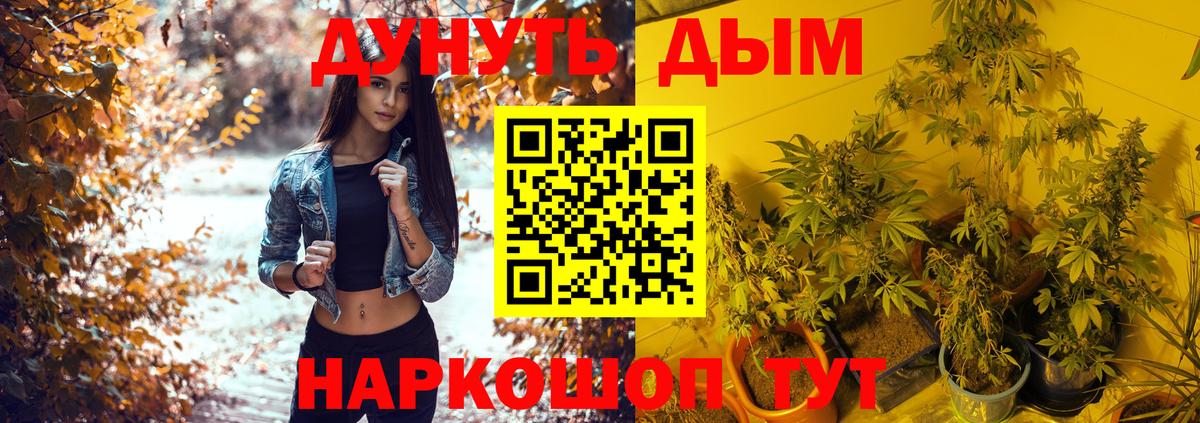 Канабис THC 21%  Вход с VPN  Бошки Шишки конопля  Ульяновск 